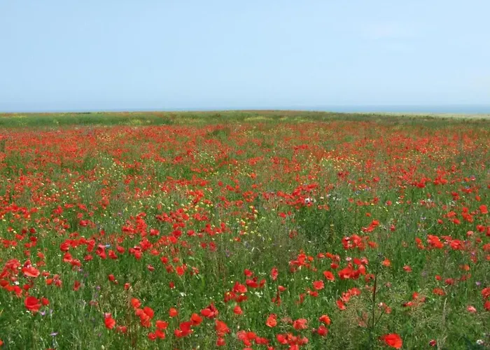 Casa vacanze Charming Coastal Hideaway Sainte-Honorine-des-Pertes