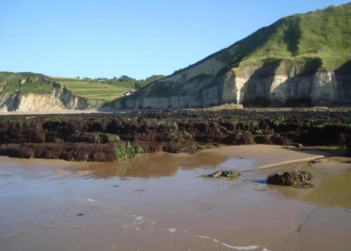 Casa vacanze Charming Coastal Hideaway *